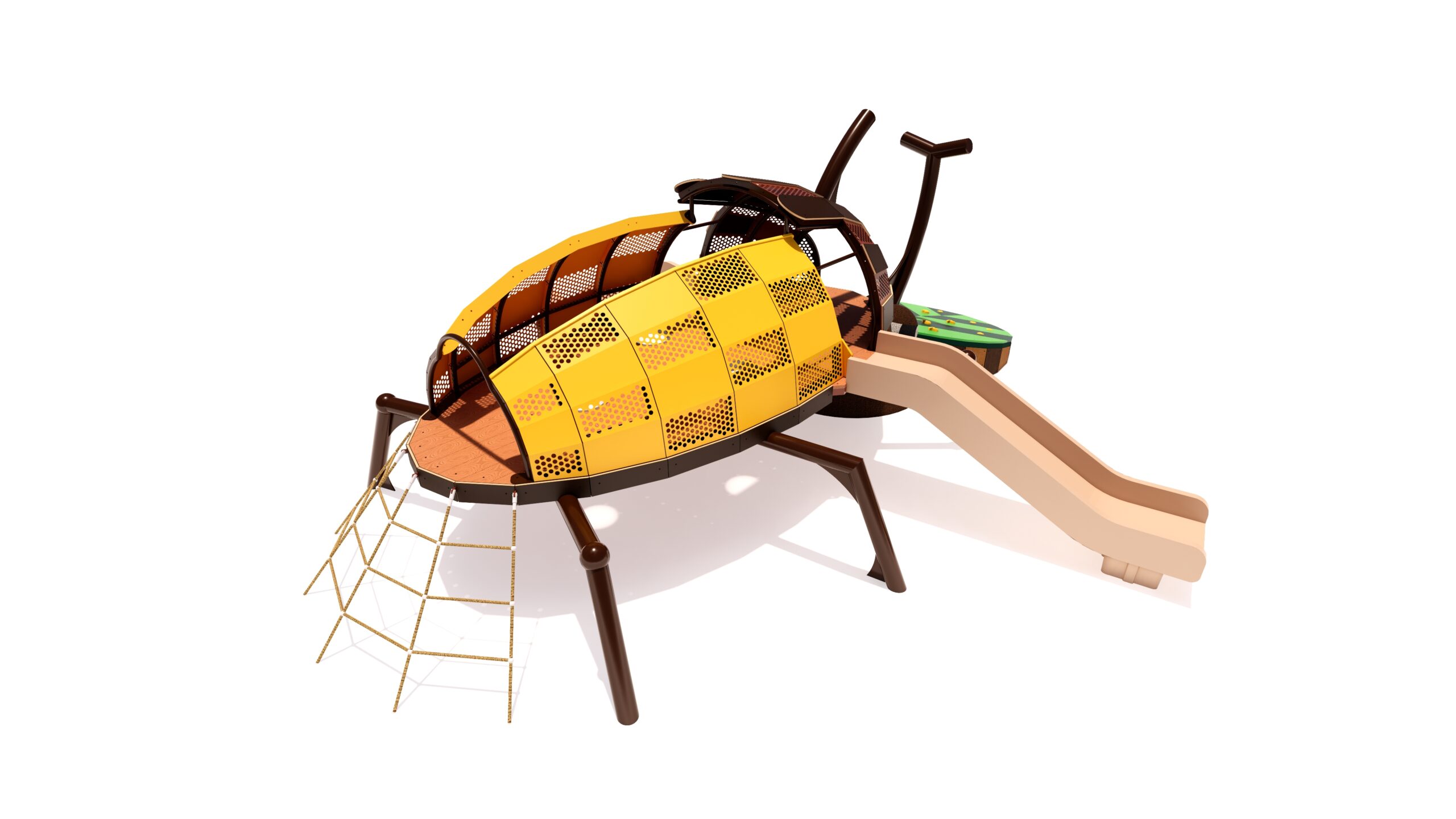 Beetle_View 2