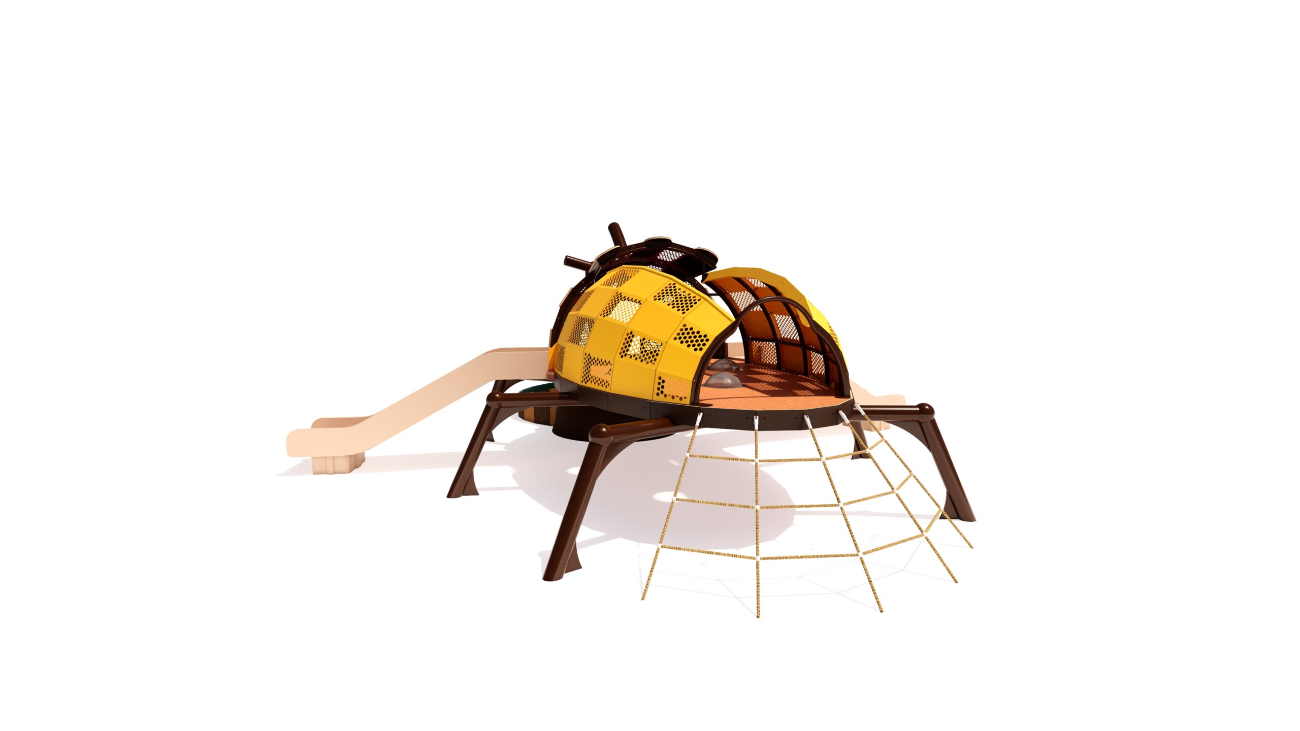 Beetle_View 4