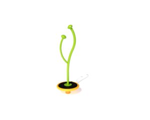Whirl Bud